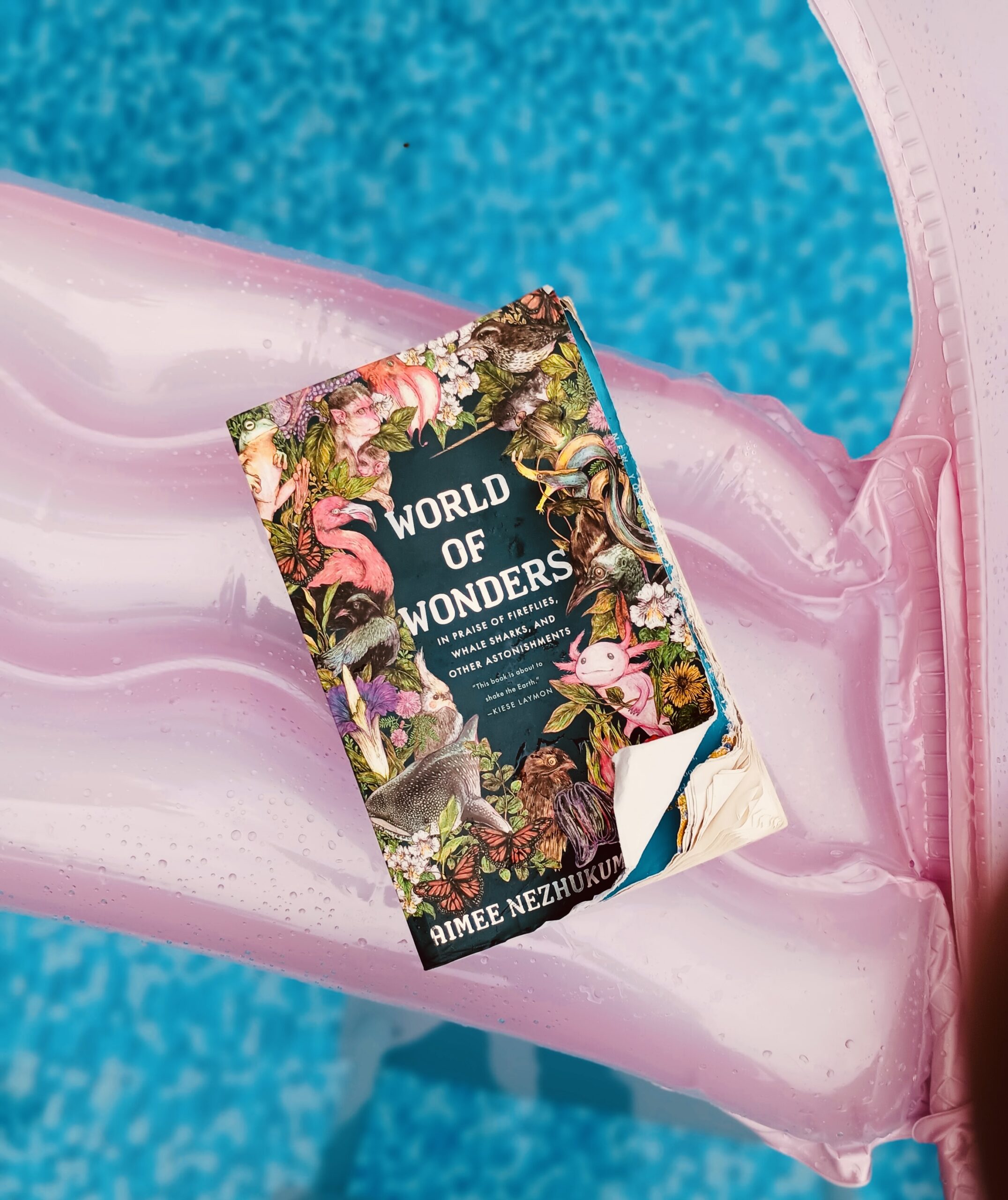 A book sitting on a pink raft